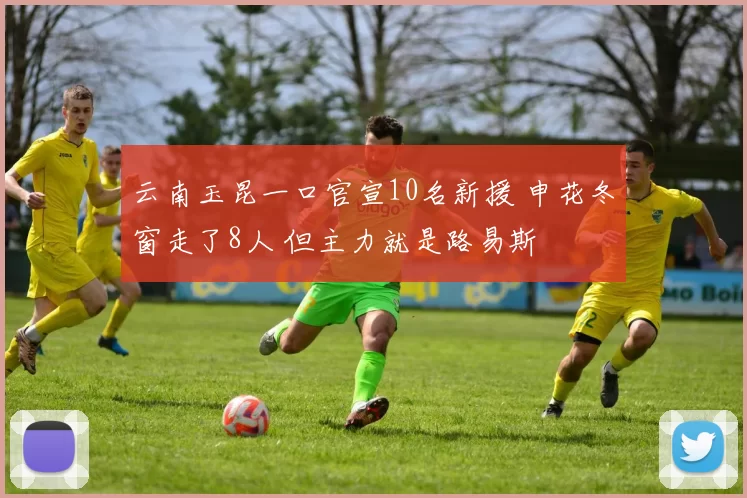 云南玉昆一口官宣10名新援 申花冬窗走了8人 但主力就是路易斯