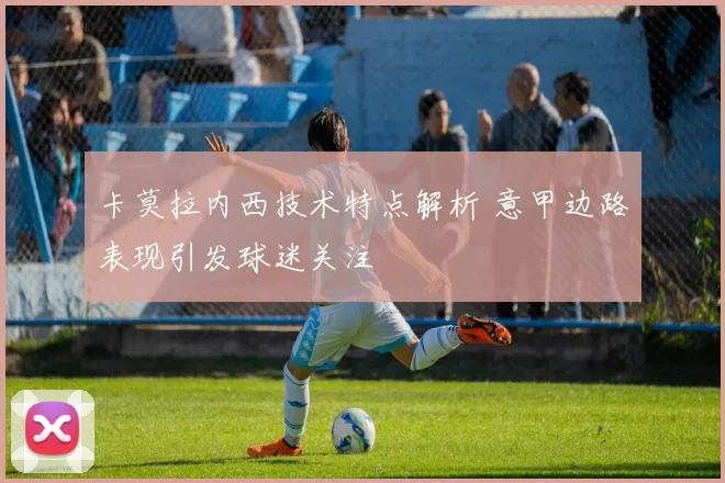 卡莫拉内西技术特点解析 意甲边路表现引发球迷关注