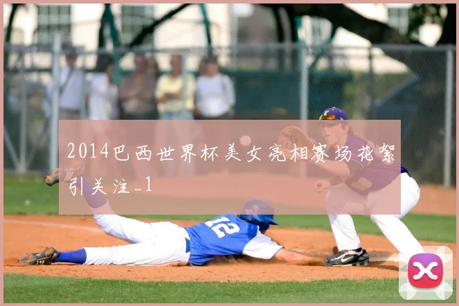 2014巴西世界杯美女亮相赛场花絮引关注_1