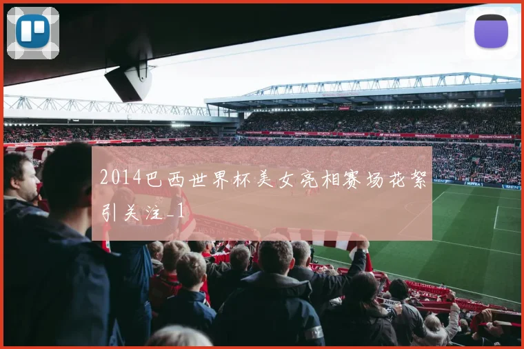 2014巴西世界杯美女亮相赛场花絮引关注_1